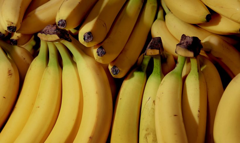 Cocaine smuggling in banana boxes Cocaine smuggling in banana boxes