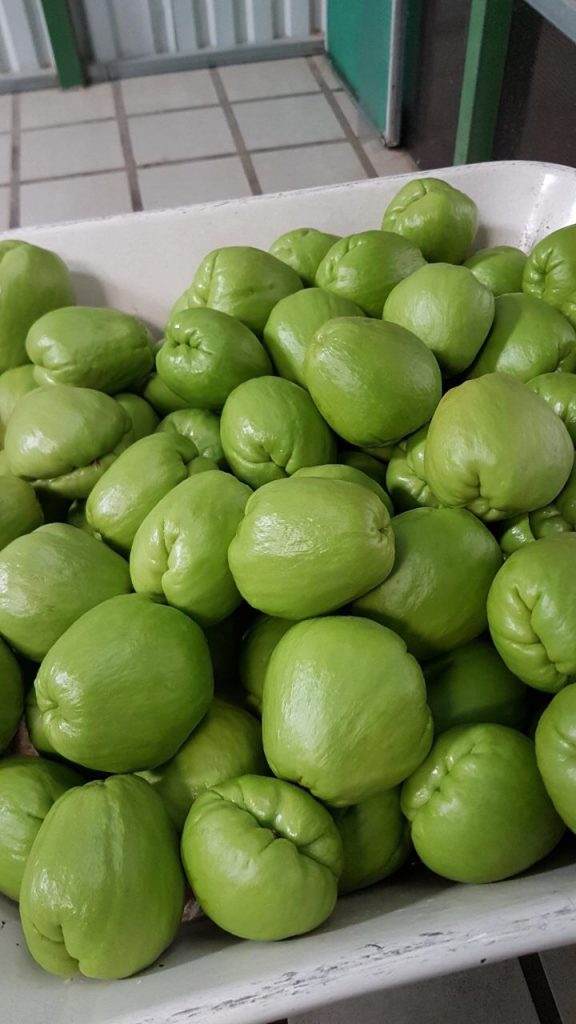 Chayote