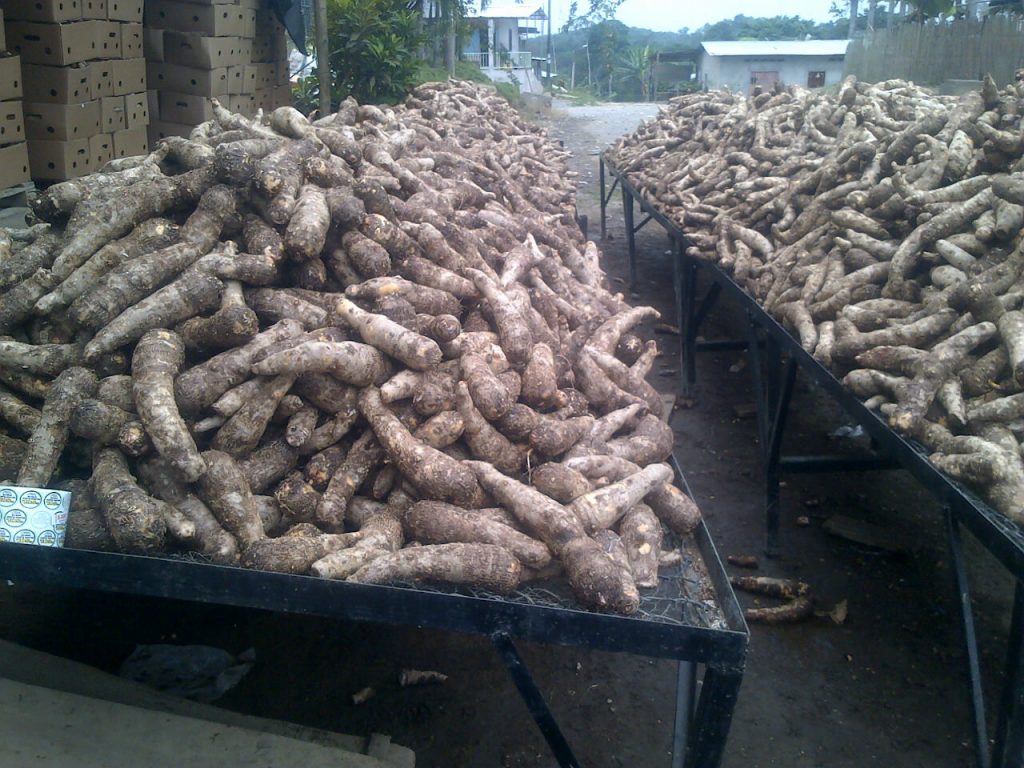 We Sell Tropicals