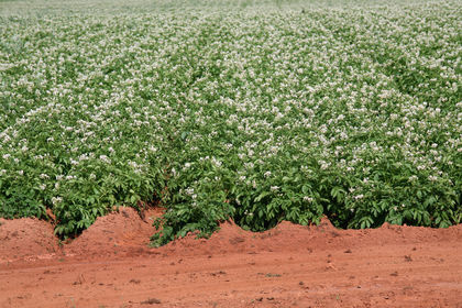 Canada – Agriculture Canada – Agriculture