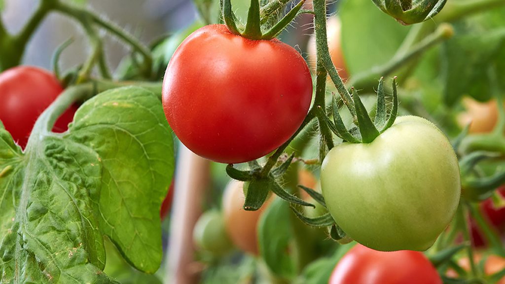 We Do Natural. Straight From the Farm